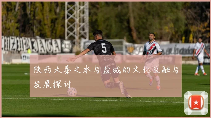 陕西大秦之水与盐城的文化交融与发展探讨